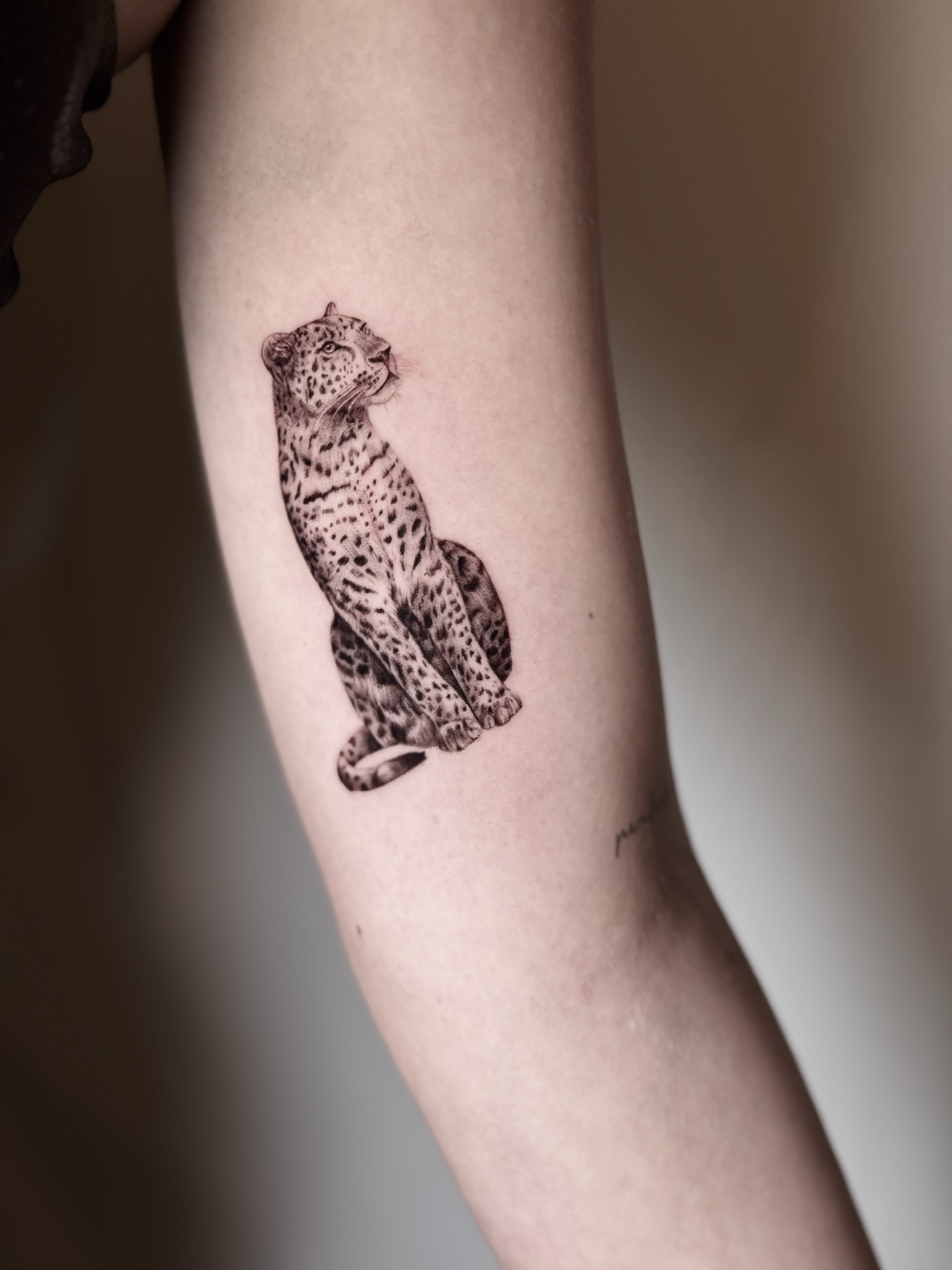 Naturgetreues Microrealism Meisterstück in Miniatur