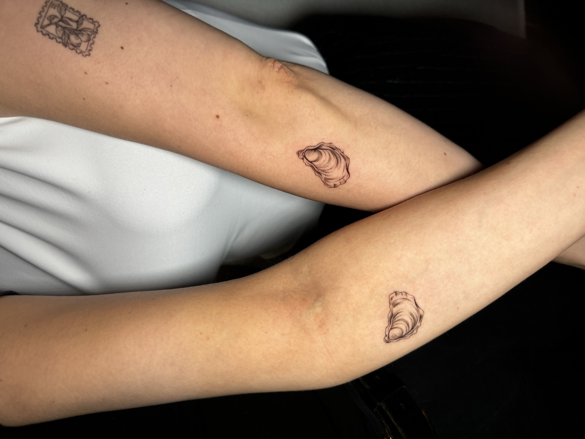 Beeindruckendes Micro-Realism Tattoo mit Schattierung